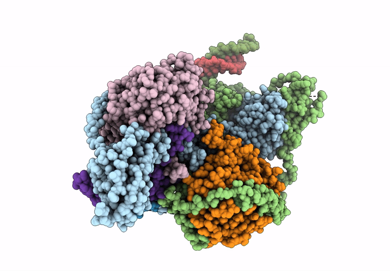 8VNV image