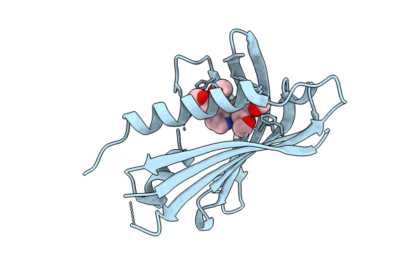 8VO3 image