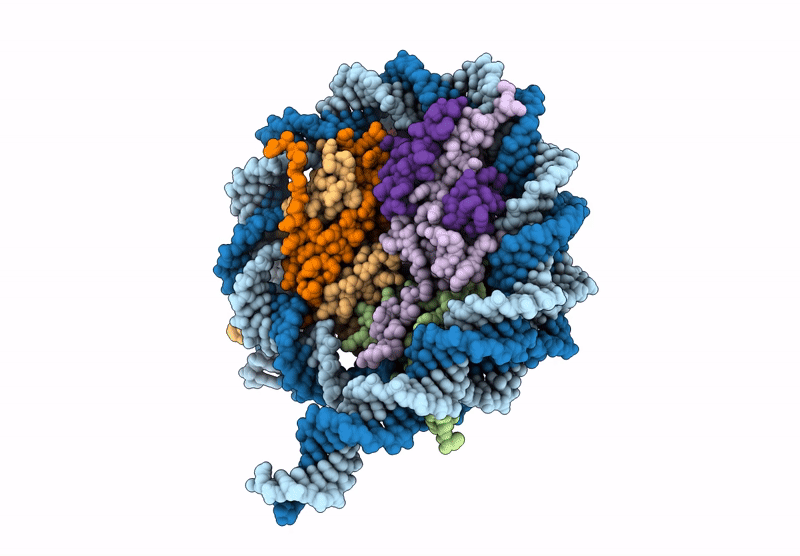 8VOB image