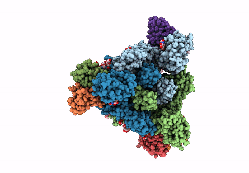 8VPF image