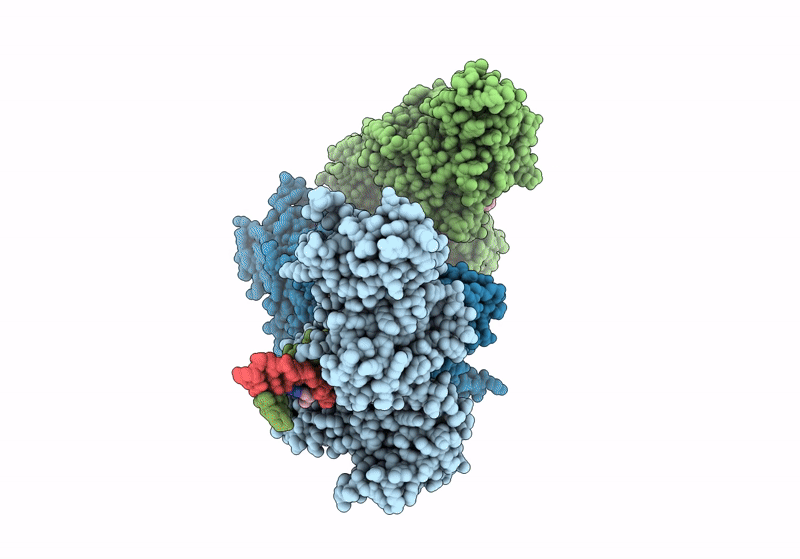 8VPH image