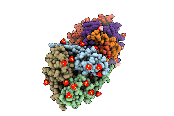 8VRM image