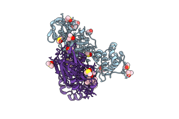 8VSG image