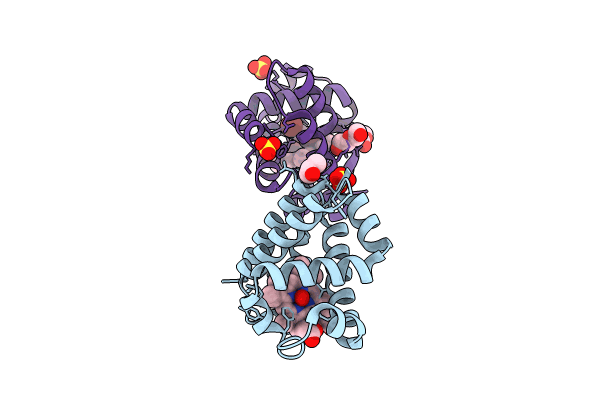 8VSK image