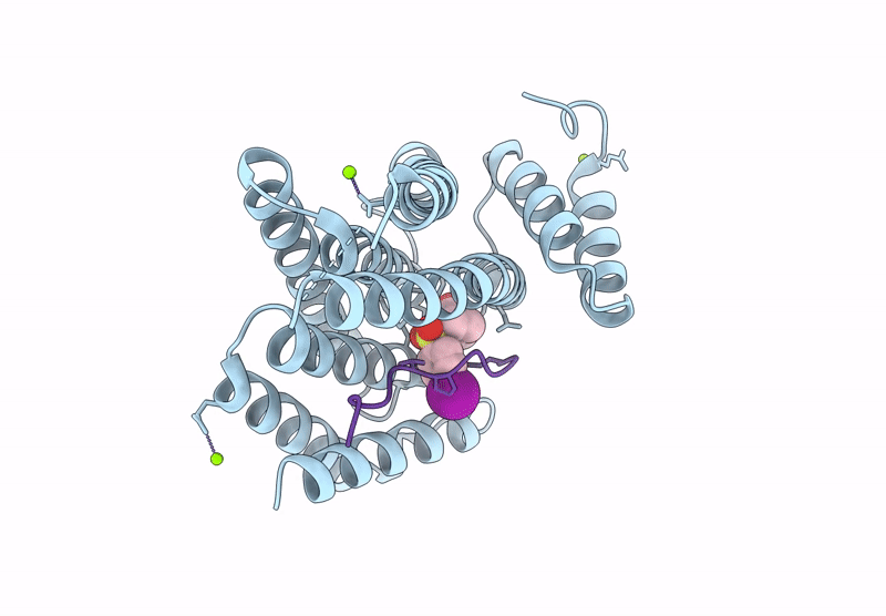 8VSN image