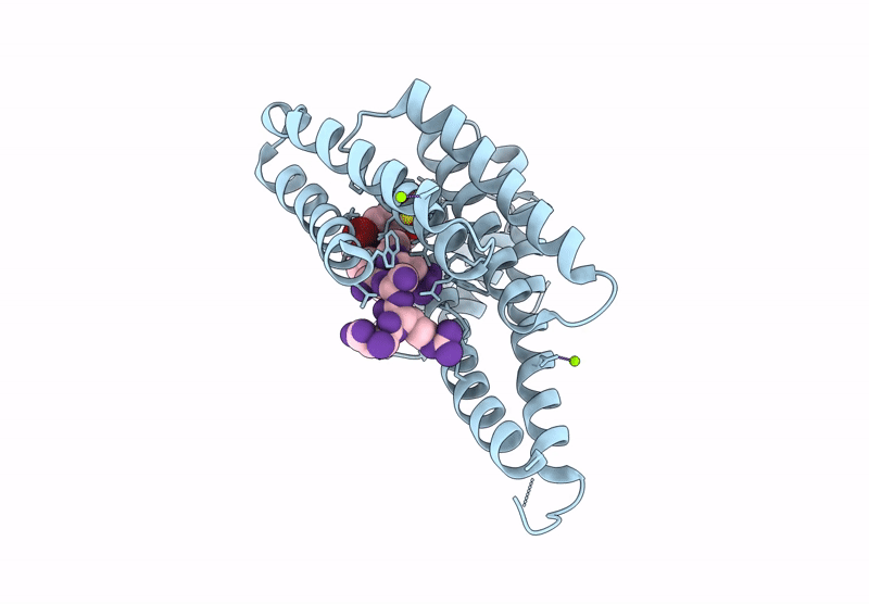 8VSO image