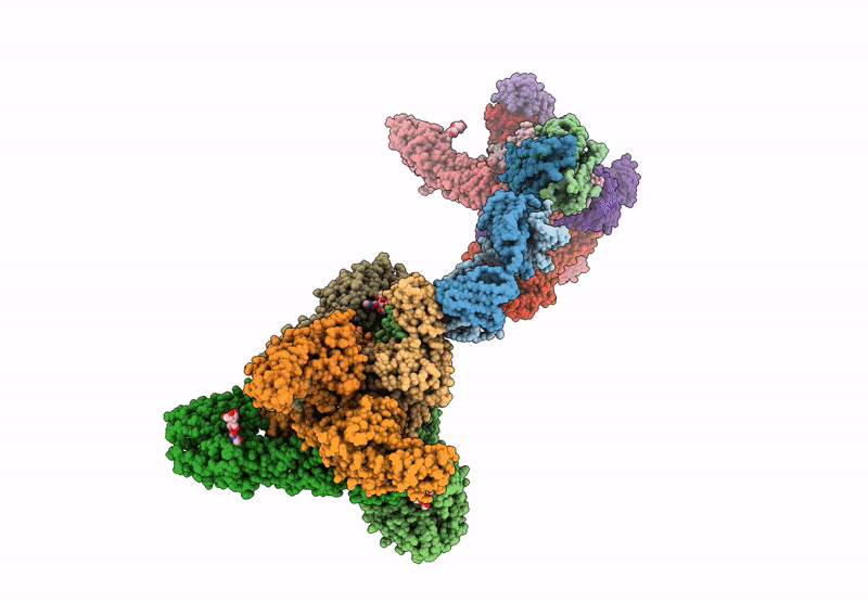 8VSV image
