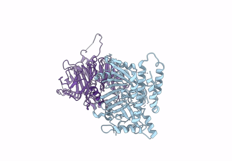 8VYB image