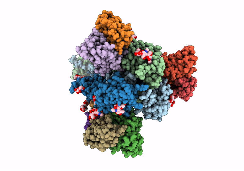 8VYM image