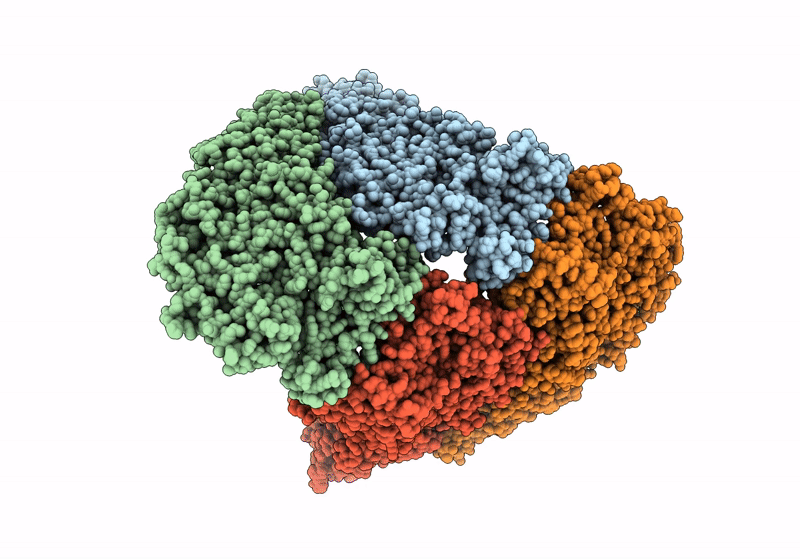 8W12 image