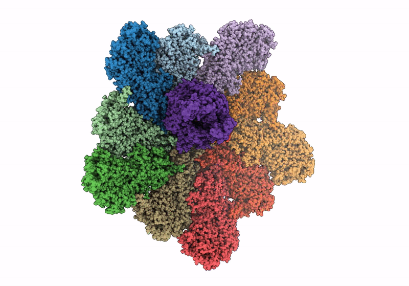 8W1S image