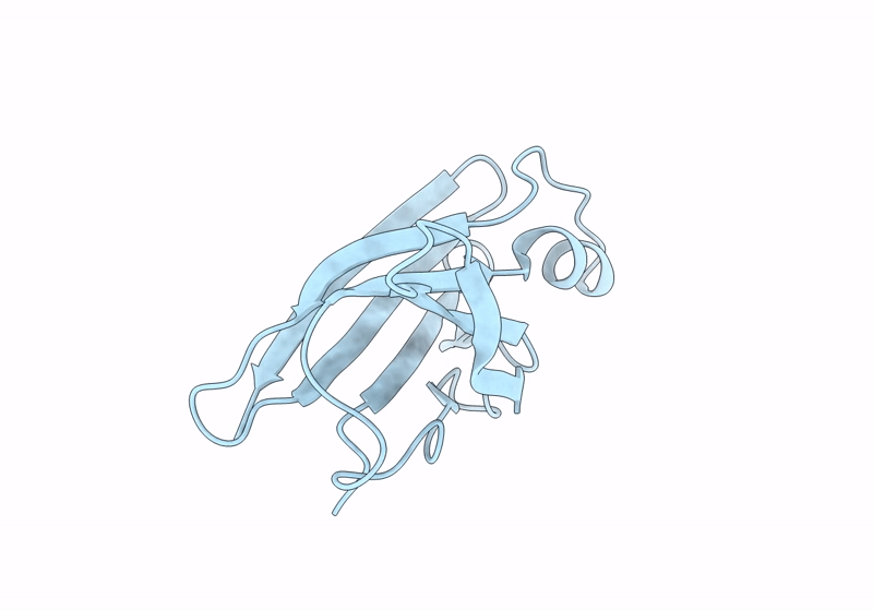 8W2W image
