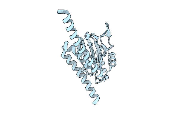 8W4D image