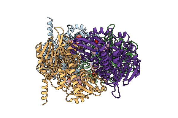 8W7D image