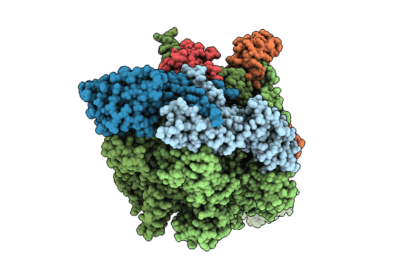 8W8O image