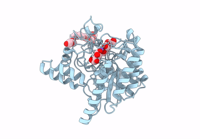 8W8V image