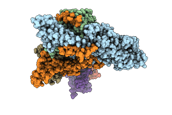 8W9C image
