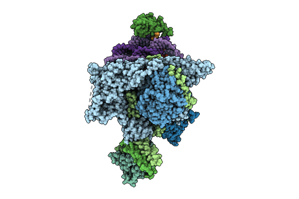 8W9D image