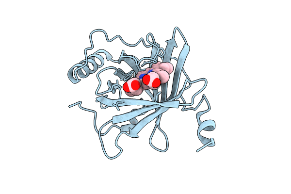 8WB2 image