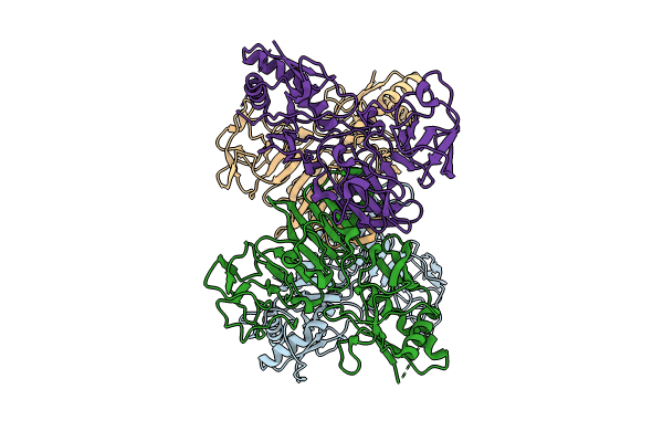 8WBC image