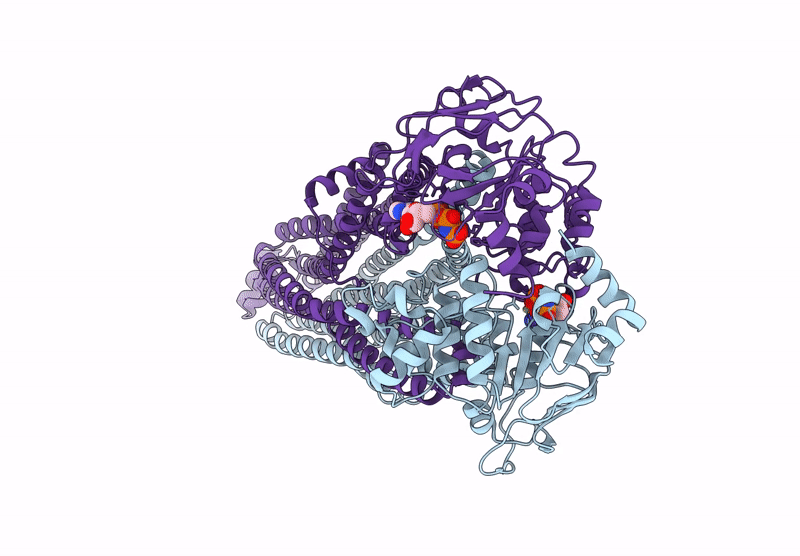 8WCX image