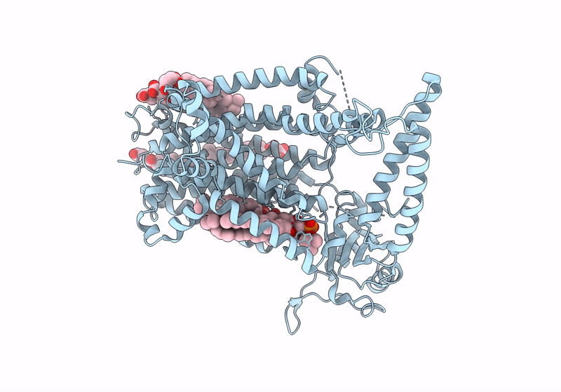8WG4 image