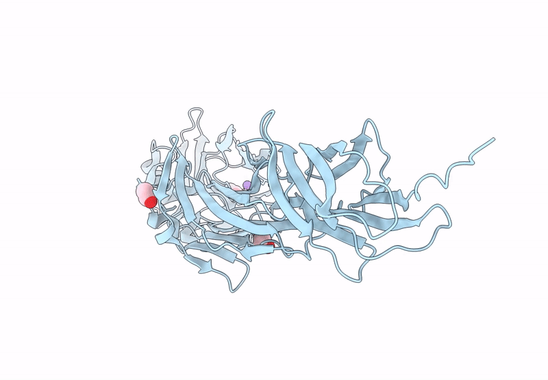 8WG6 image