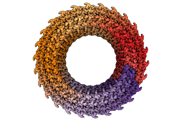 8WHT image