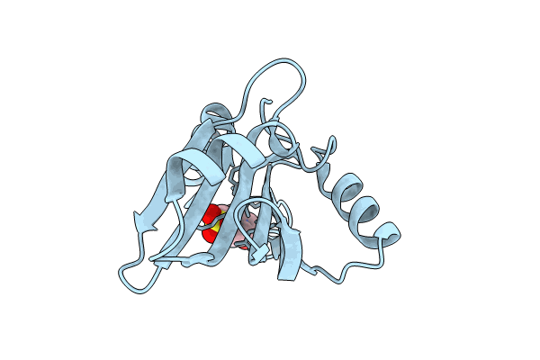 8WJ5 image