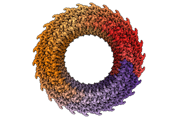 8WLE image