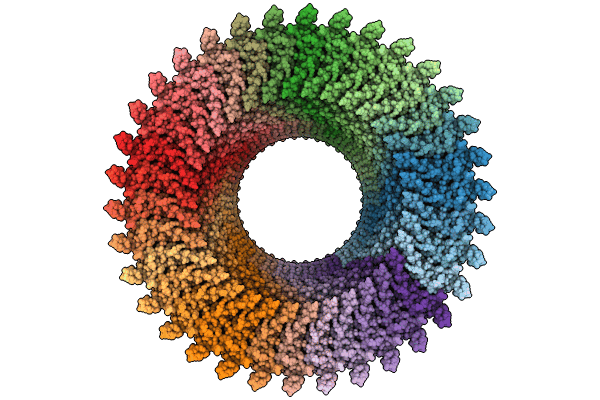 8WLI image