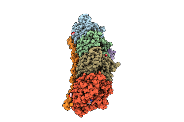 8WMO image