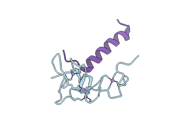 8WMS image