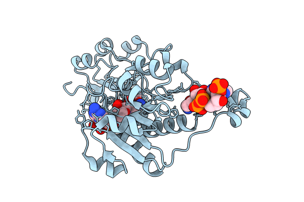 8WPO image