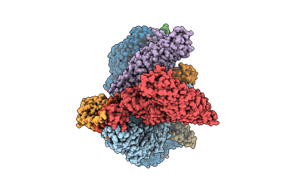 8WQB image