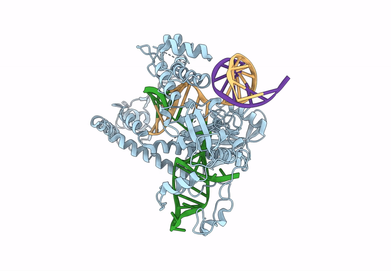 8WRQ image