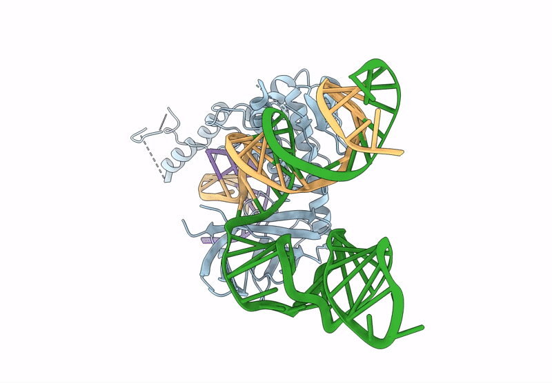 8WRV image