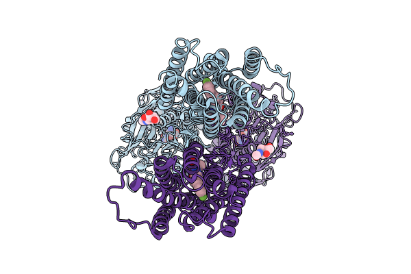 8X0B image