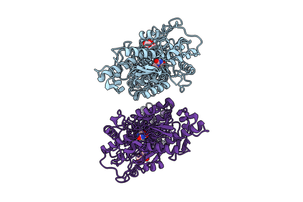 8X0H image