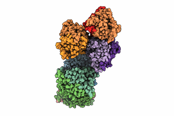 8X0U image