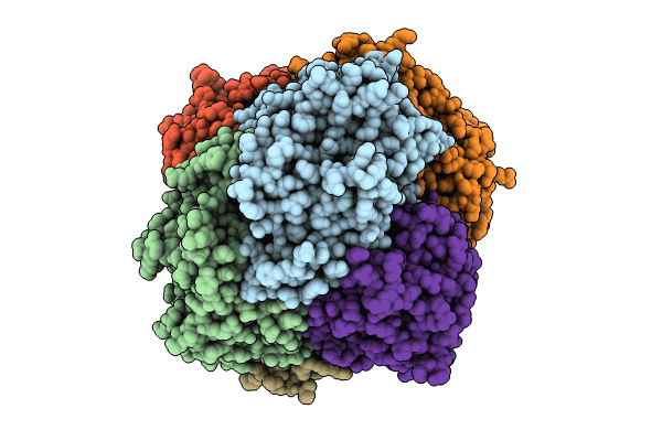 8X3G image