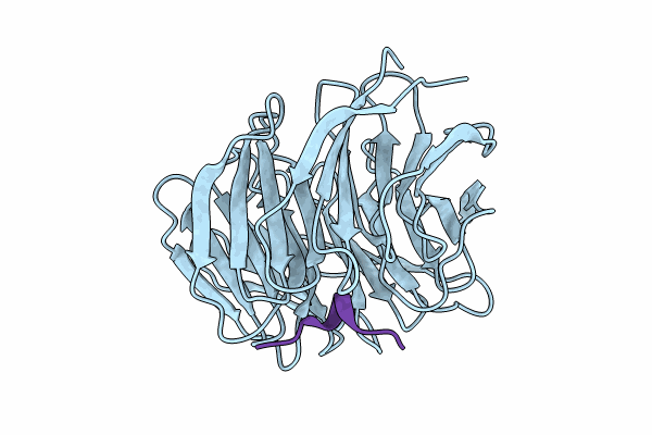 8X3R image