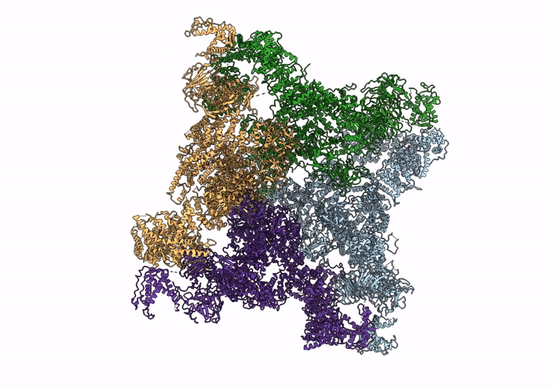 8X4B image