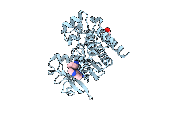 8X5K image