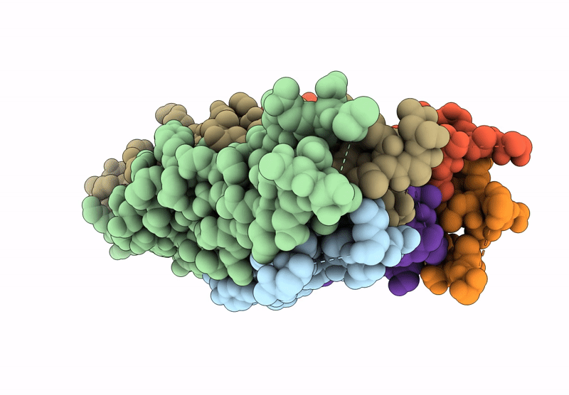8X5P image
