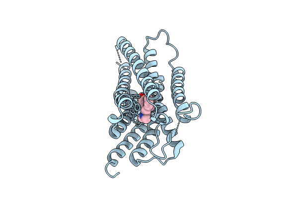 8X63 image