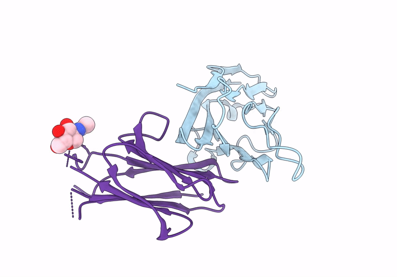 8X6B image