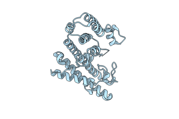 8X6E image