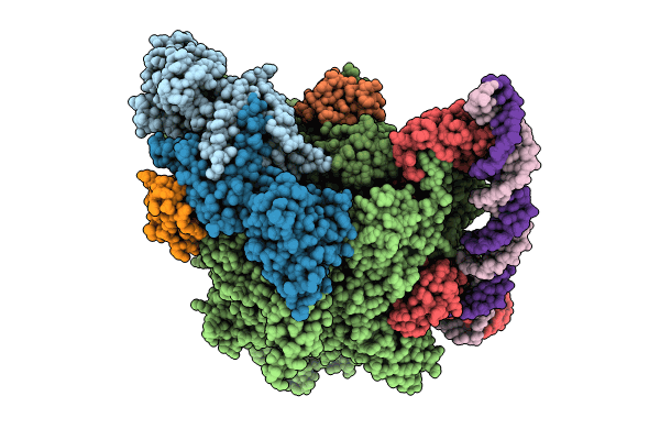 8X6F image