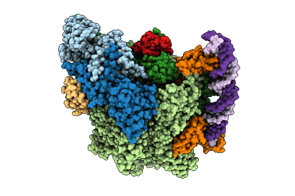 8X6G image